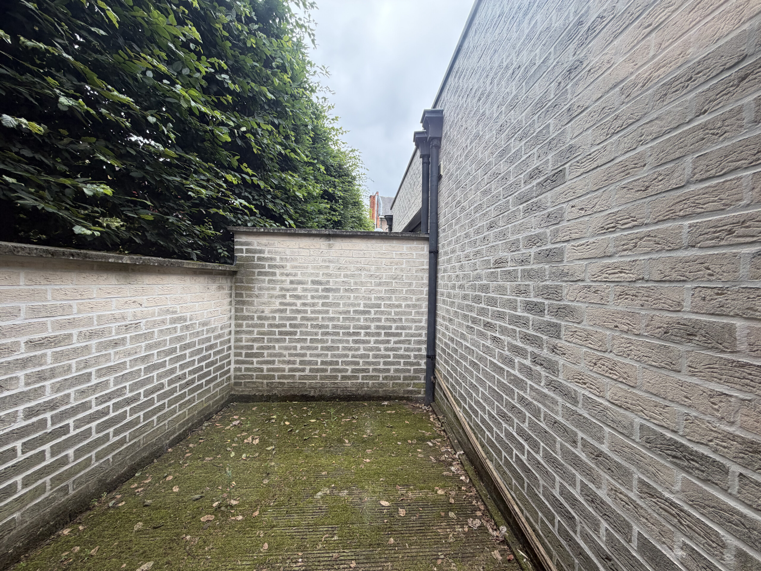 Featured image 3